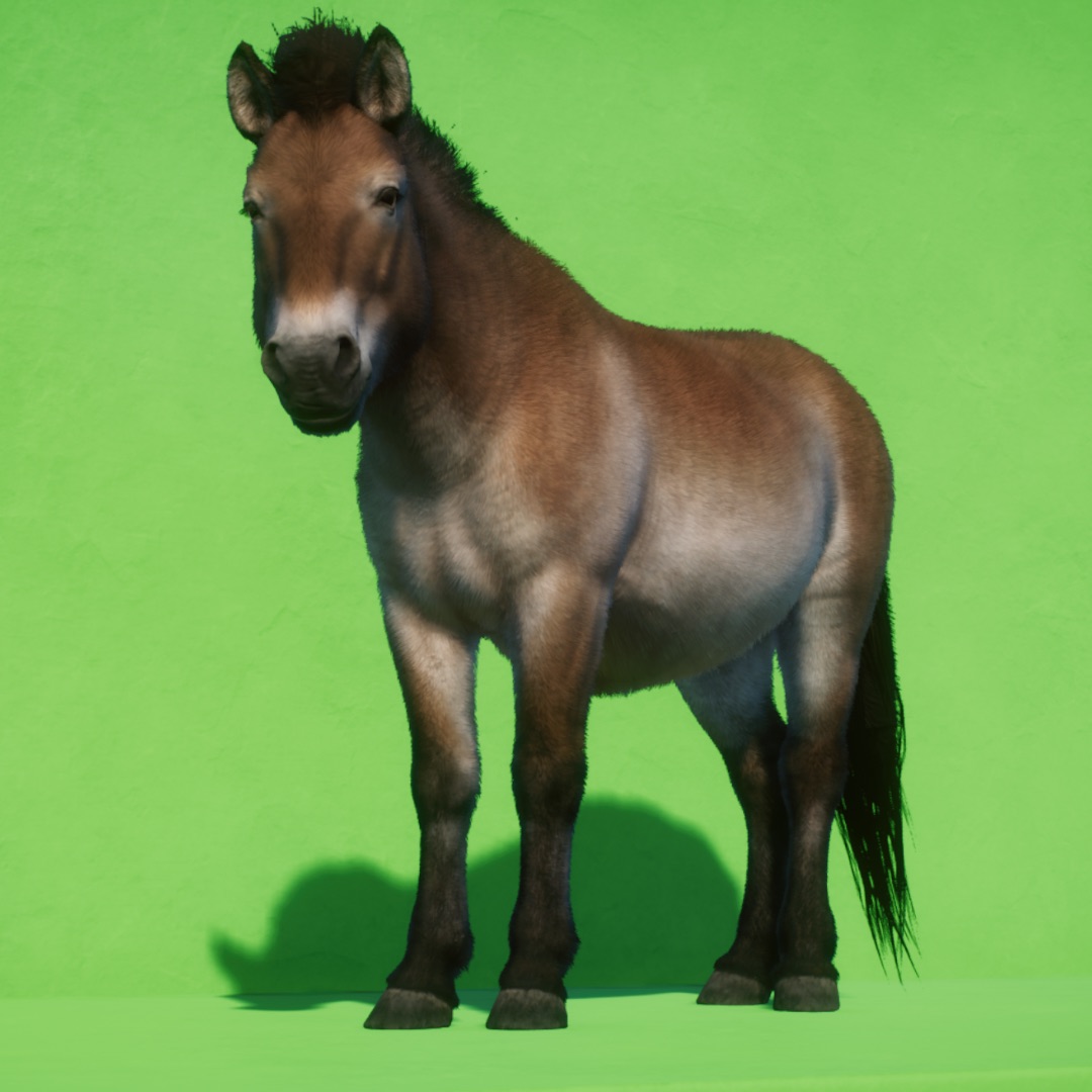 E53280E6-62BF-4E52-8B46-256079F557ED.jpeg