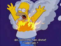 E664EFA0-9066-4FA8-A445-C154E9F0697F.gif