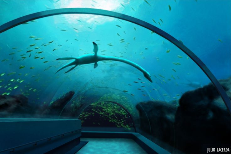 e79380683a14cff3dab25258041c0e2b--extinct-animals-prehistoric-animals.jpg