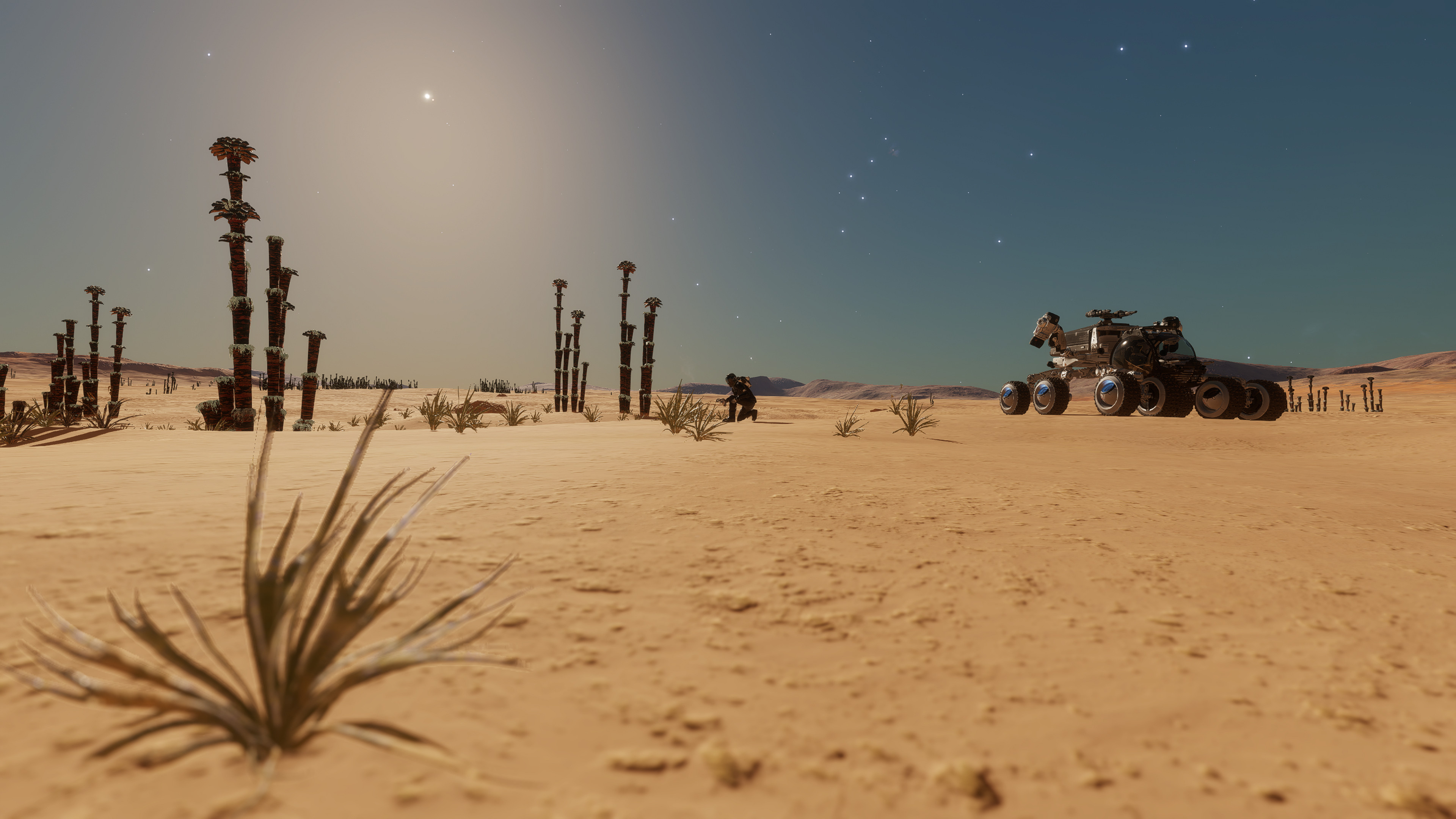 ED_Odyssey_096.jpg