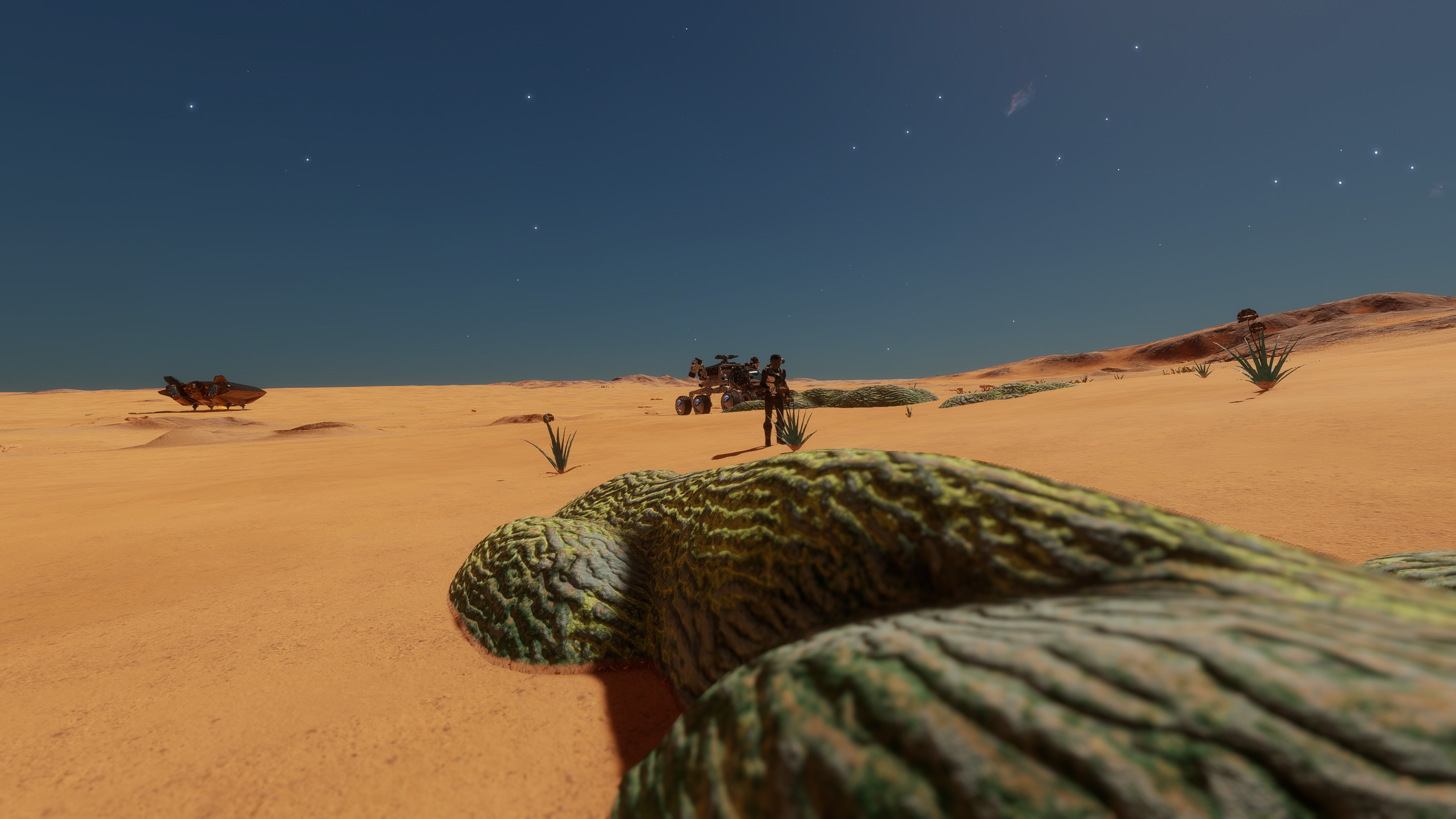 ED_Odyssey_097.jpg