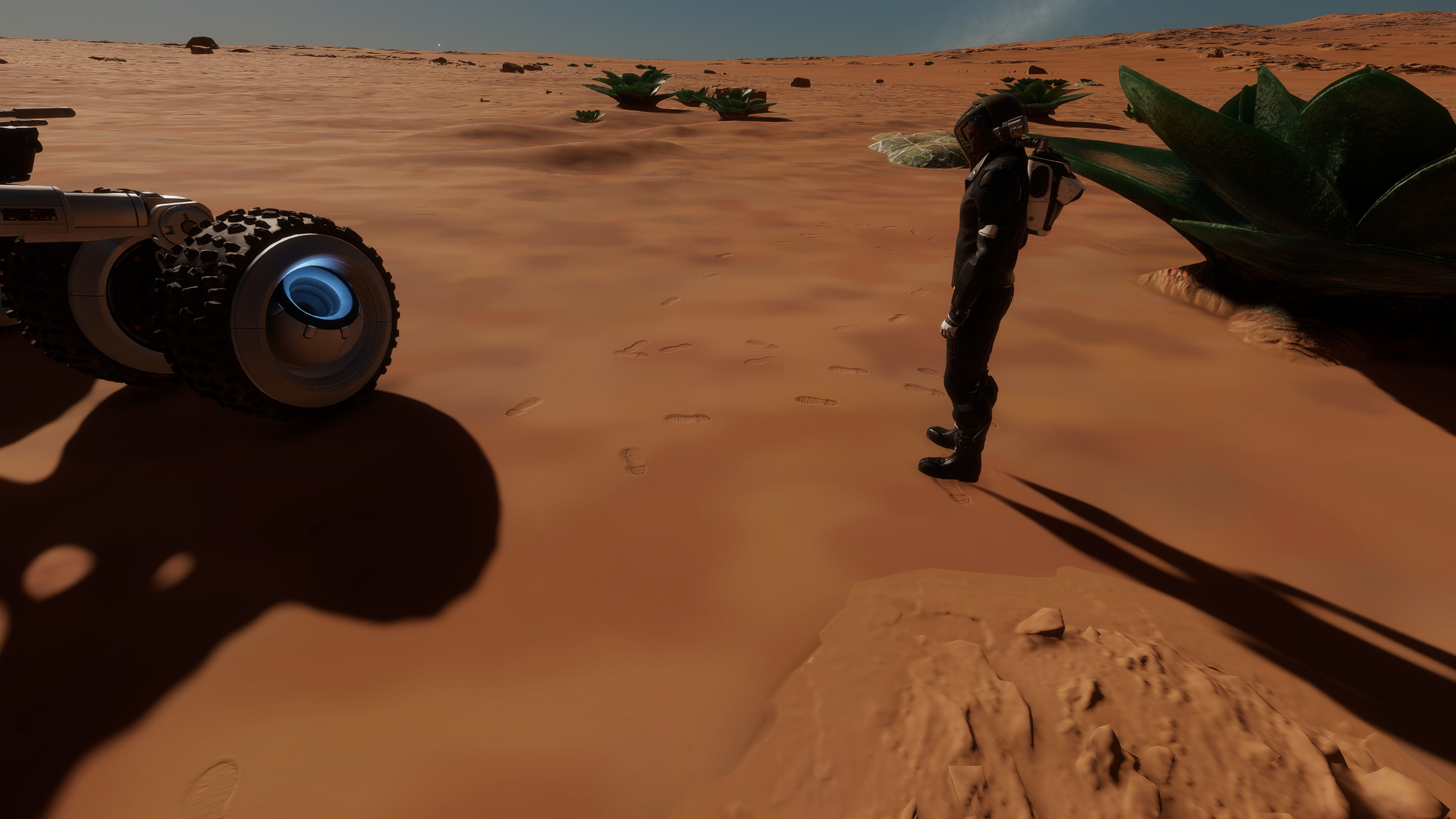 ED_Odyssey_314.jpg