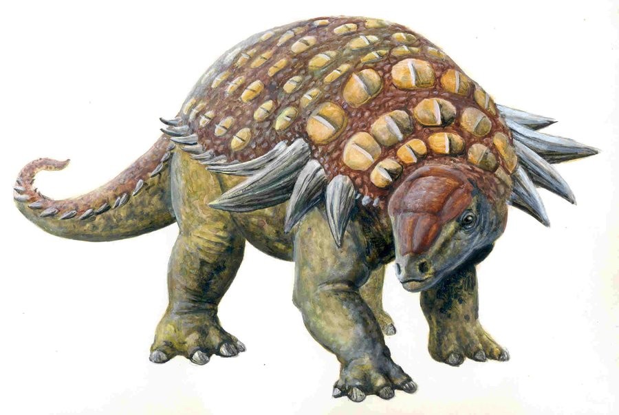 Edmontonia_by_Glyptodon_graphycus_571b.jpg