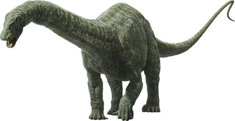 eea44719f3180e76969c2b4b8b75857d.png