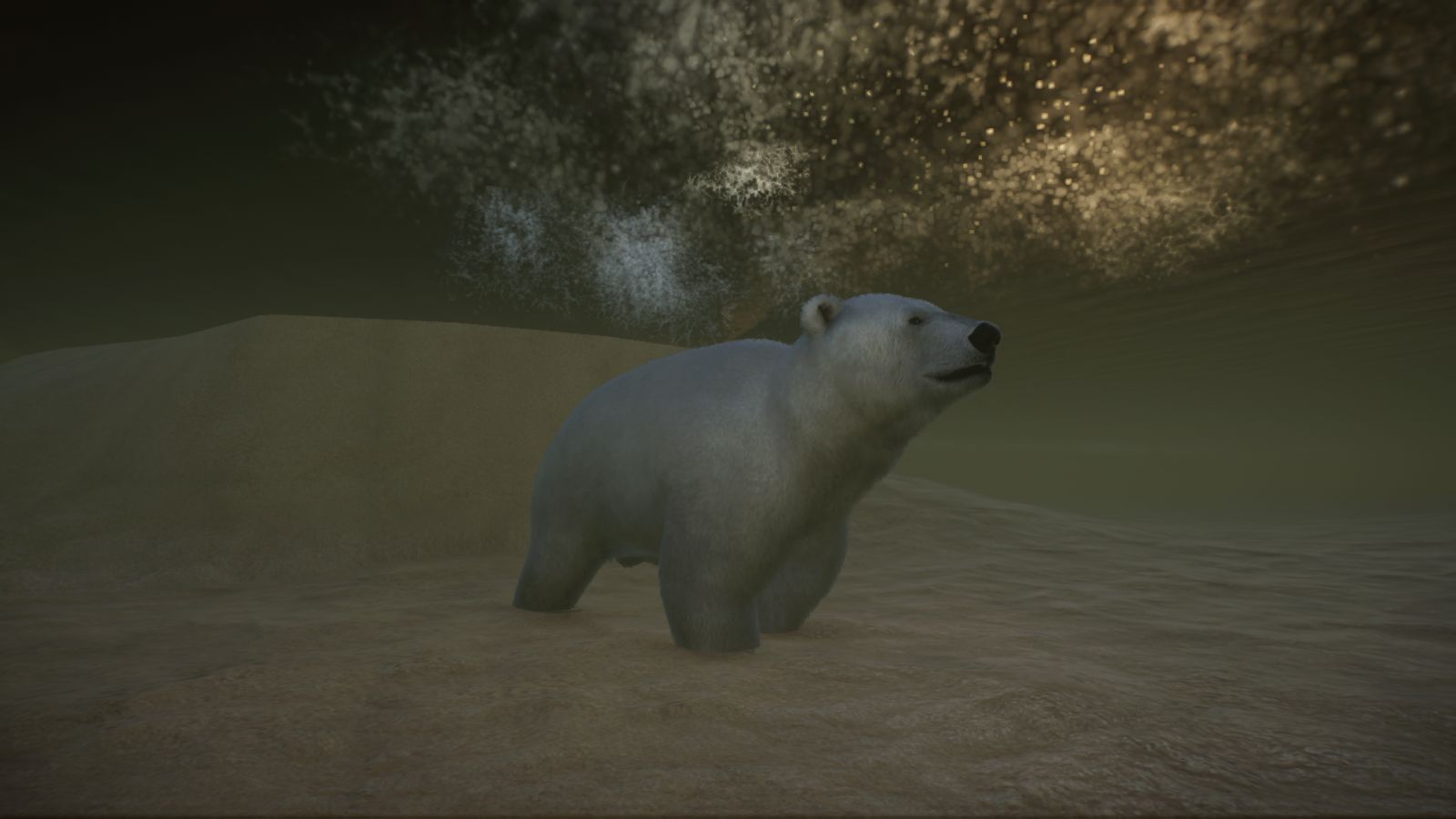 Eisbär unter Wasser.jpg