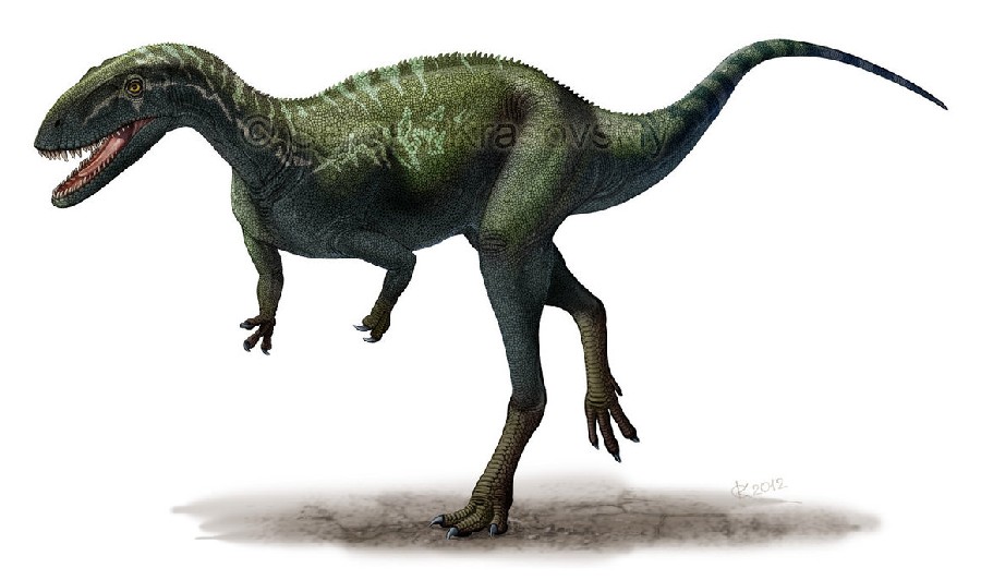 elaphrosaurus__bambergi_by_atrox1-d5ejdon_fc9c (1).jpg