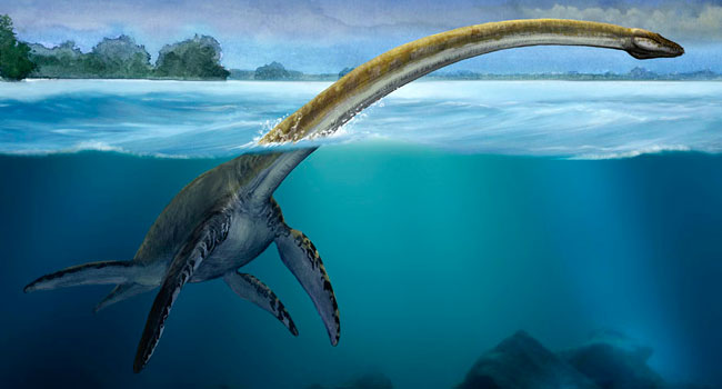 Elasmosaur-650x350_070815035441.jpg