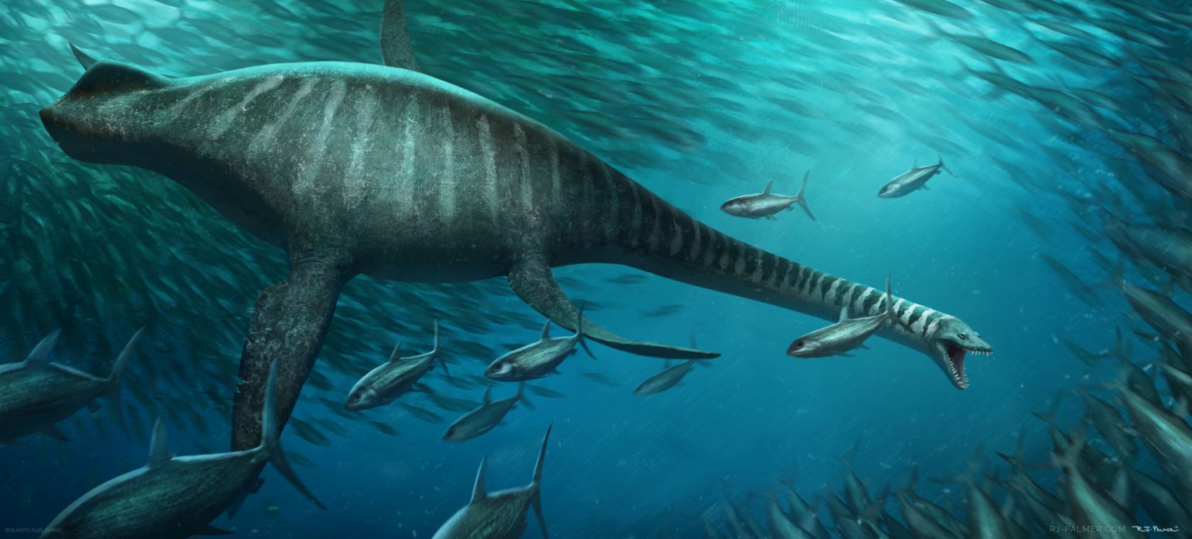elasmosaurus.jpg