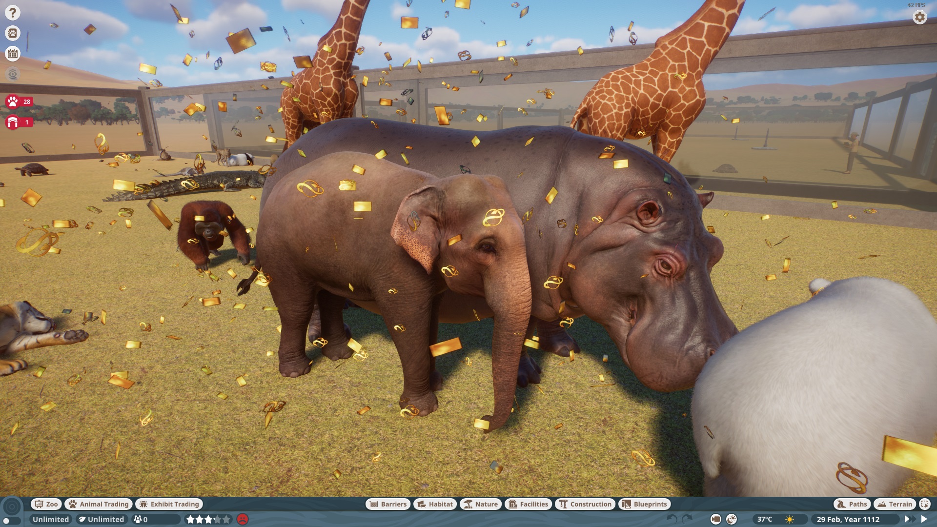 elephant 1.jpg