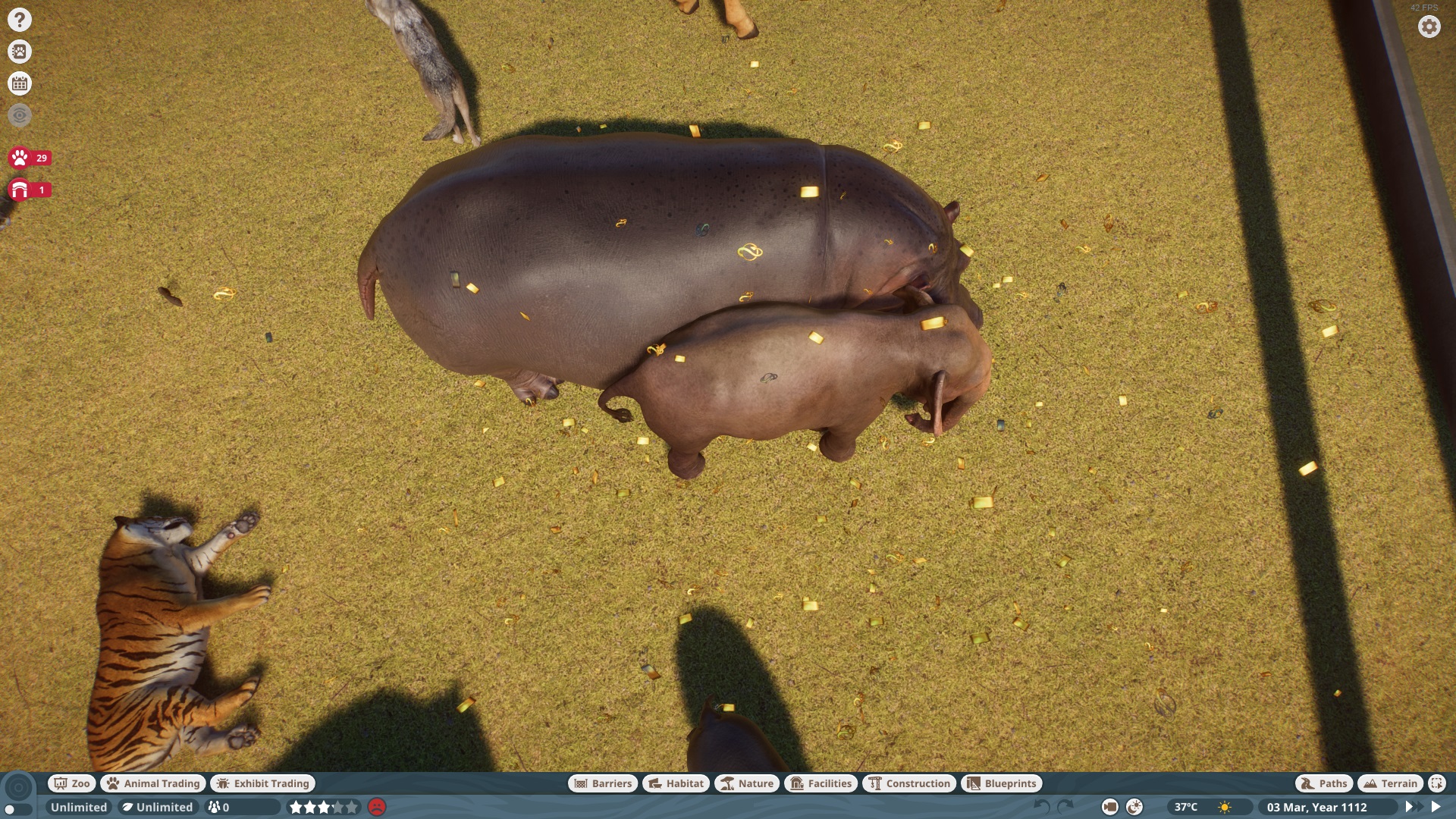 elephant 2.jpg