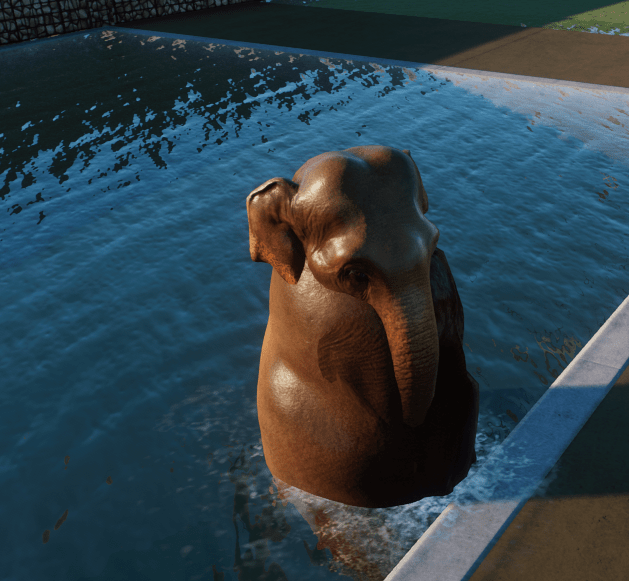 elephant at pool-min.PNG