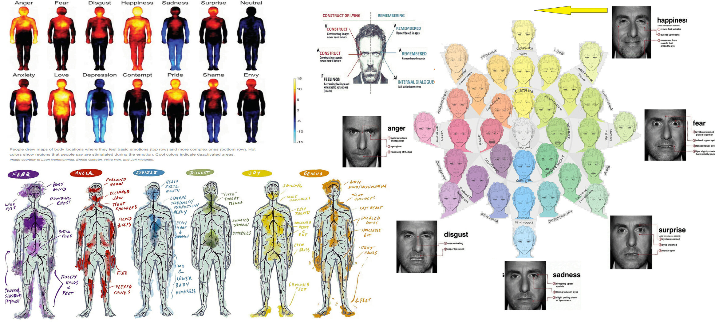 Emotions Reference (6) (2).jpg