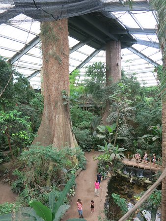 enormous-indoor-lied.jpg