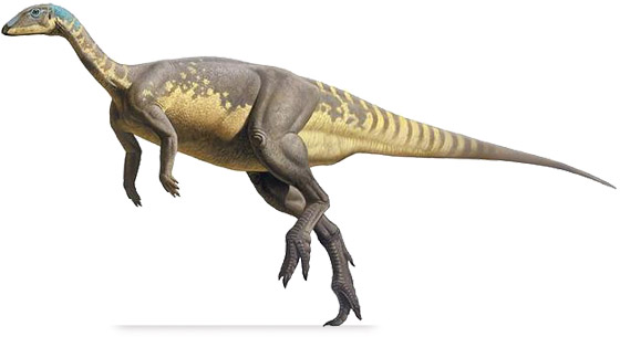 My Top 10 Herbivore Dinosaurs | Frontier Forums
