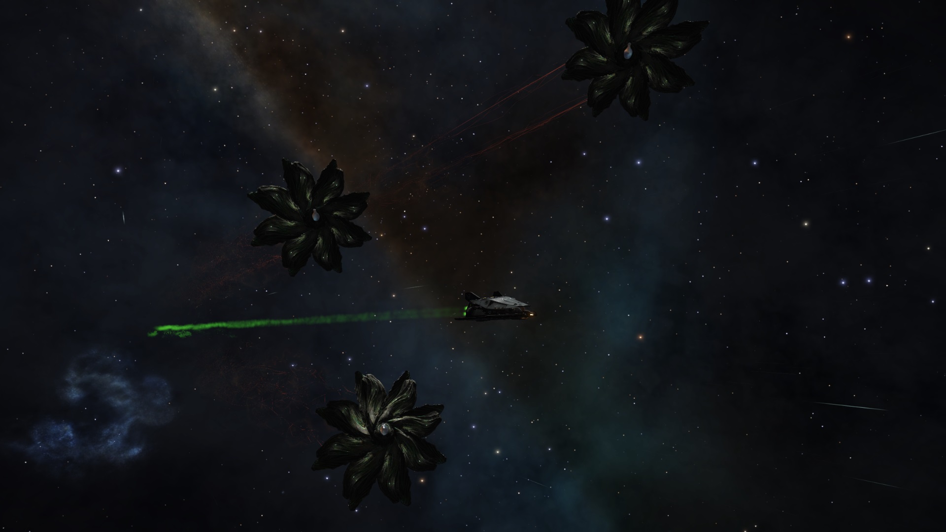 Escort.jpg