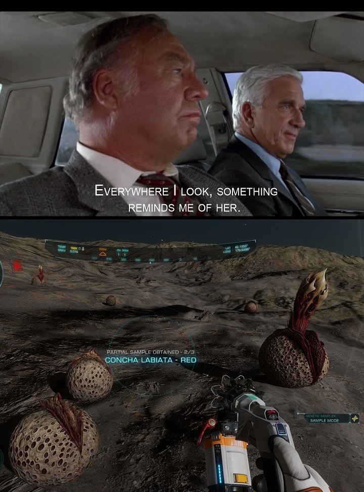 everywhere I lookmeme.jpg