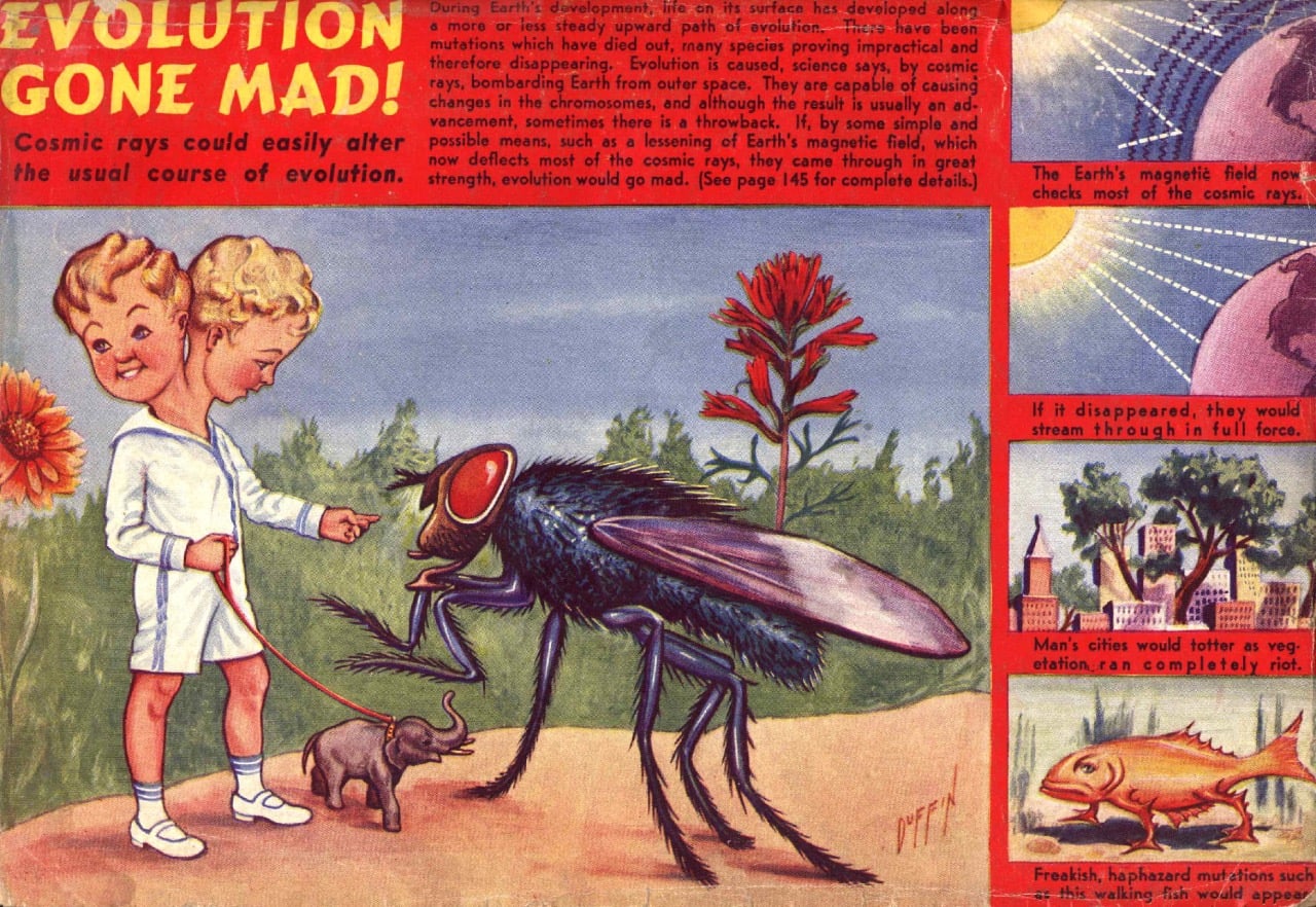 evolution.jpg