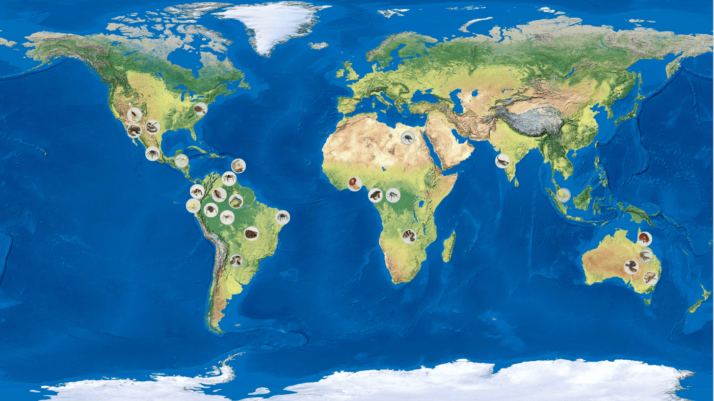 Habitat карты. Карта планеты Гетен. Карта войн на всей планете в 2023 году. Planet Zoo Океания.