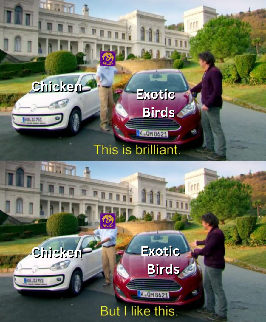 Exotic Unique Birds.png