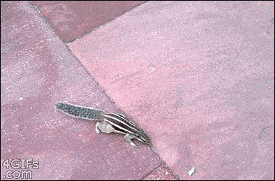 ezgif-7-5797895ae39c.gif