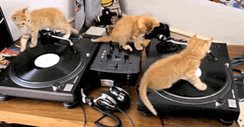 ezgif.com-gif-maker.gif