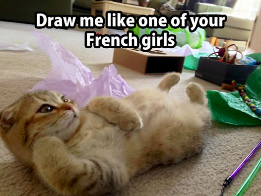 f133c9c0ed6bff3cdb16ddd2f5cc47ca.jpg
