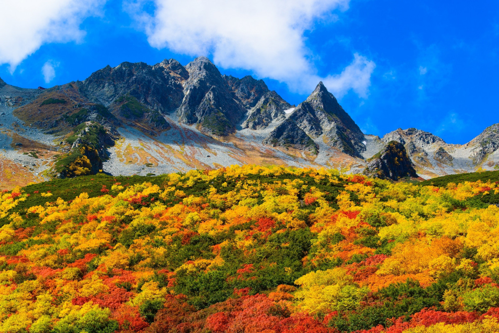 fall_mountains_shrubs_clouds_blue_yellow_green_red-134151.jpg!d.jpg