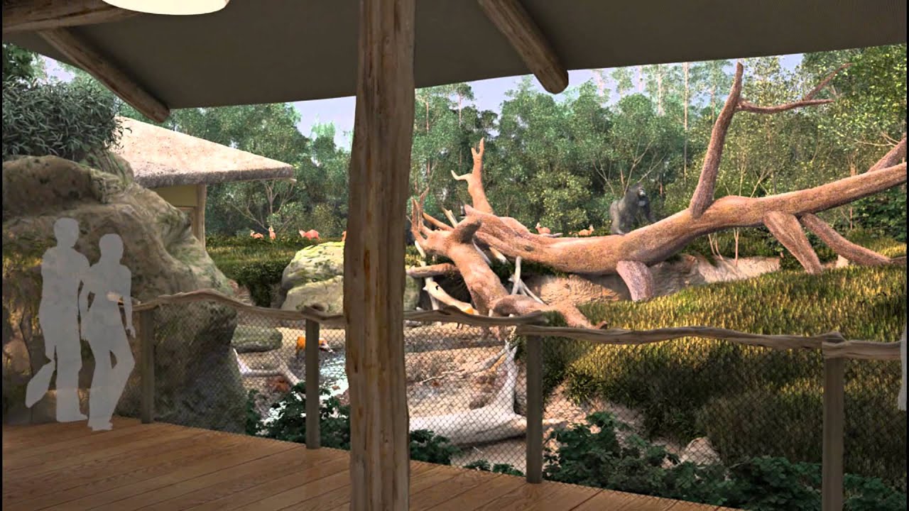fallentree33.jpg