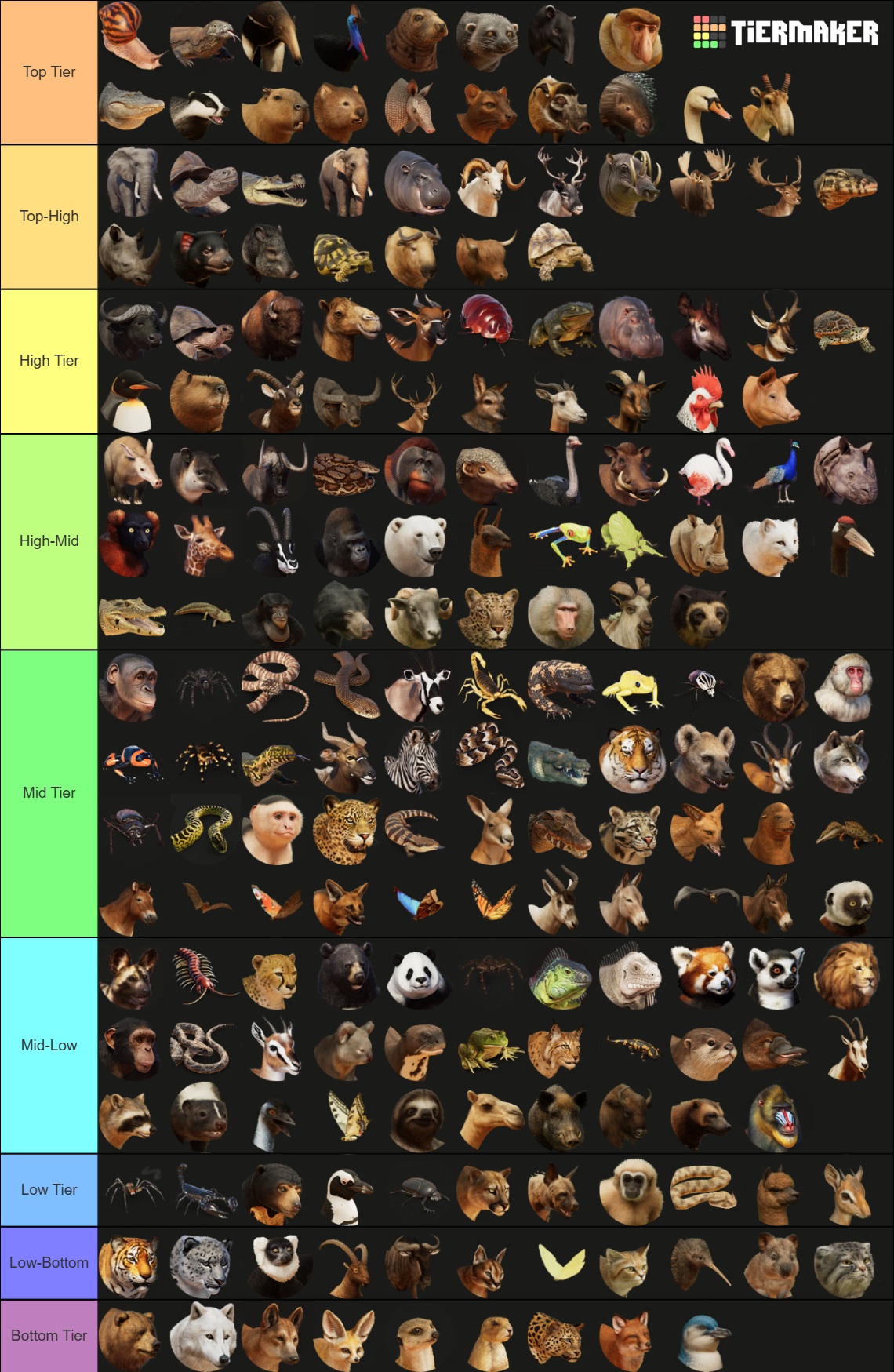 Favourites.jpg