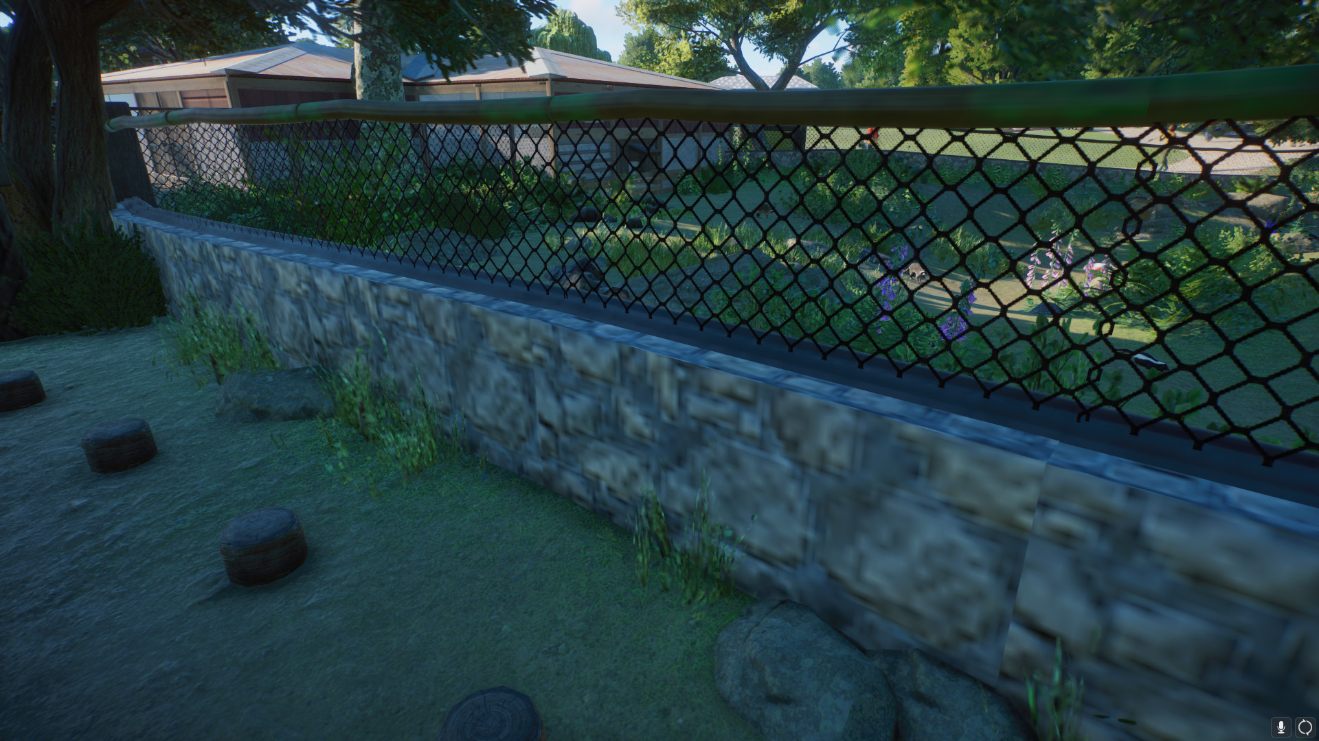 fence 1.jpeg