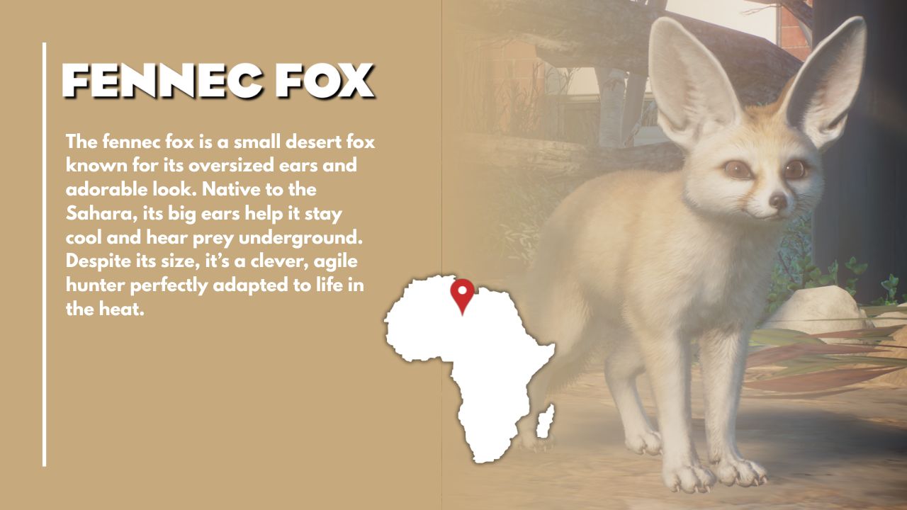 Fennec Fox (2).jpg