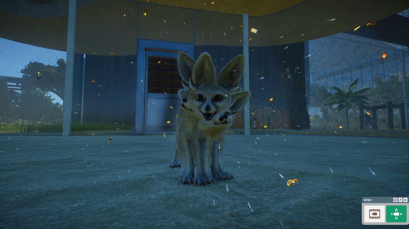 fennec foxes.jpg