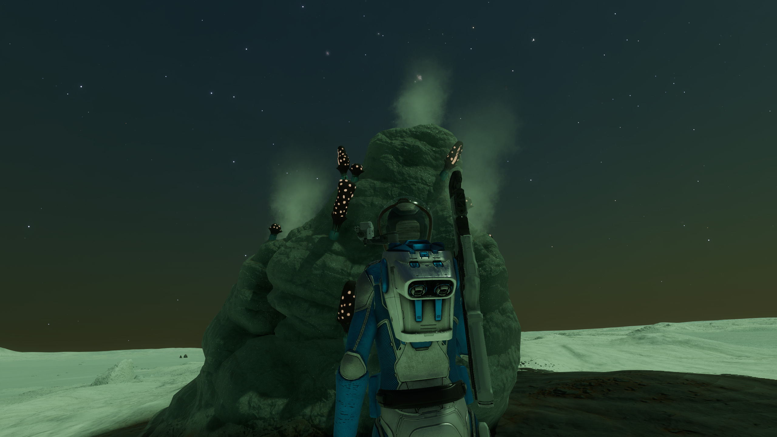 fermoles-firs.jpg