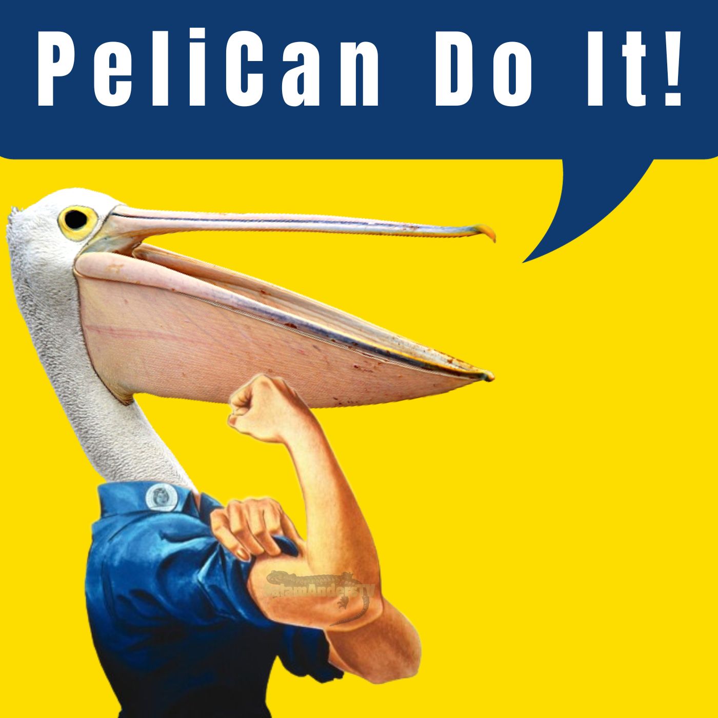 Finally a Pelican!.jpg