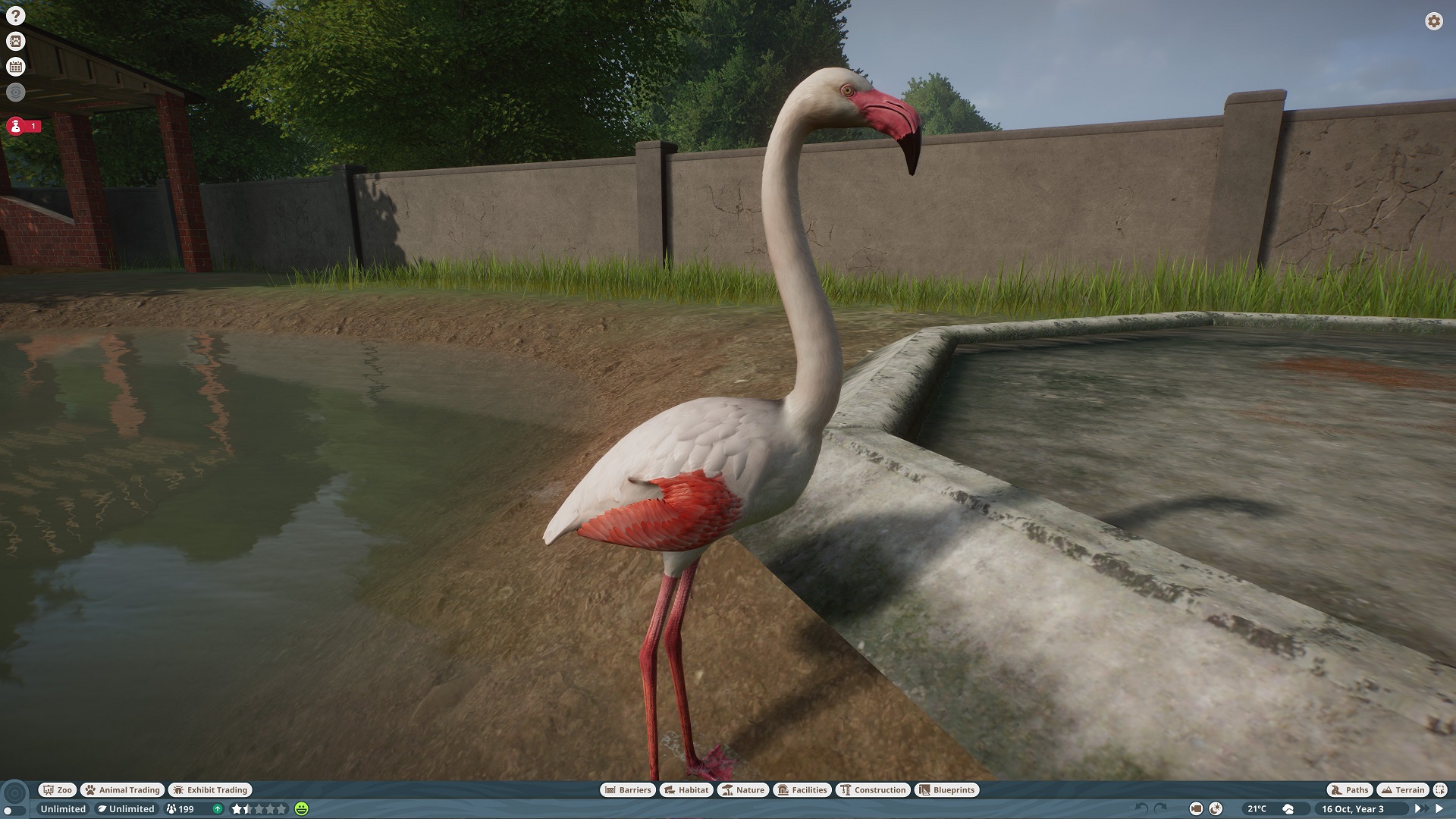 Flamingo 1.jpg
