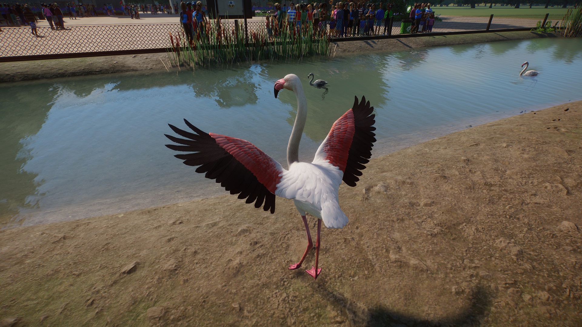 Flamingo 3.jpg