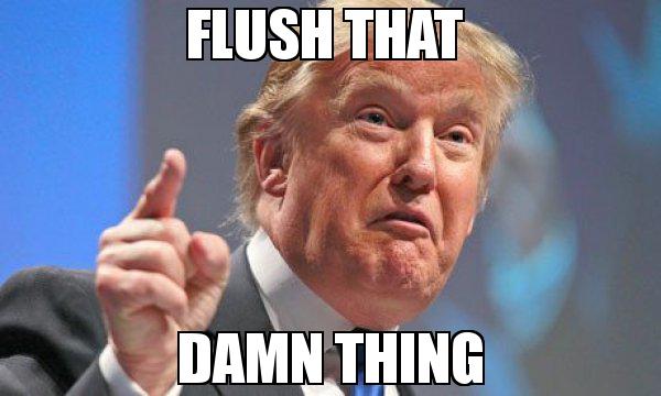 flush-that--damn-thing.jpg