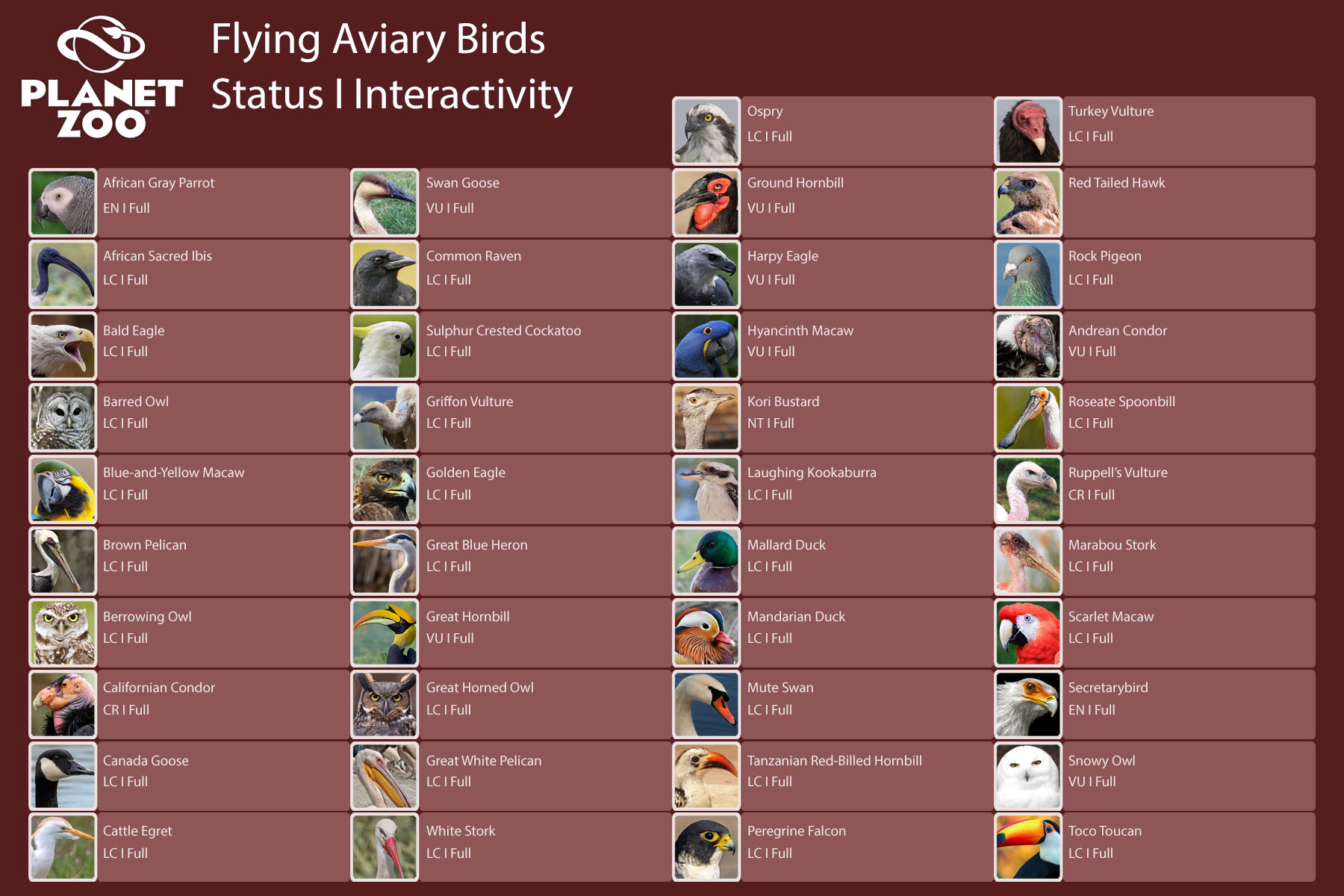 Flying Aviary Birds.jpg