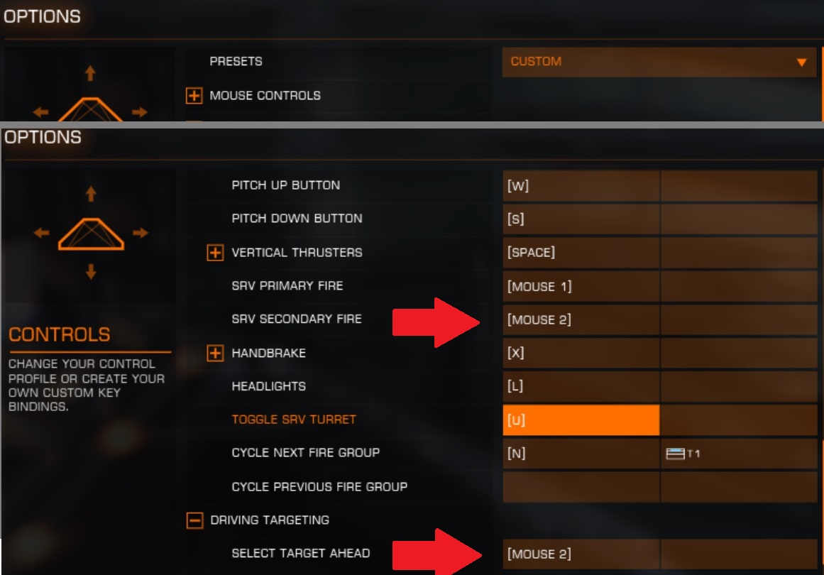 Forced Mouse 2 SRV.jpg