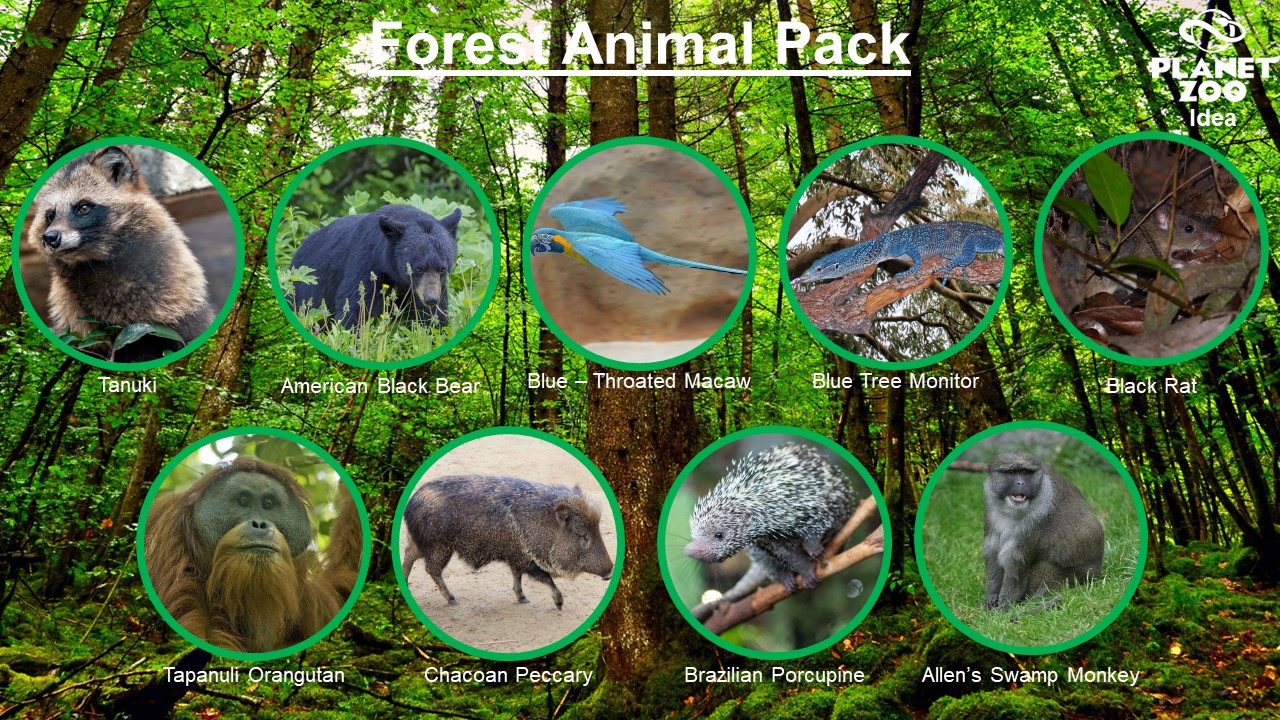 Forest Animal Pack.jpg