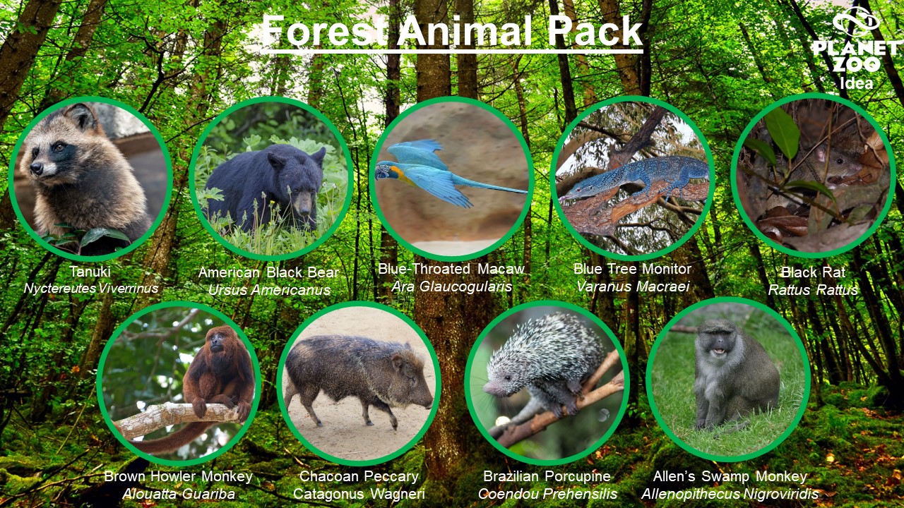 Forest Animal Pack.jpg