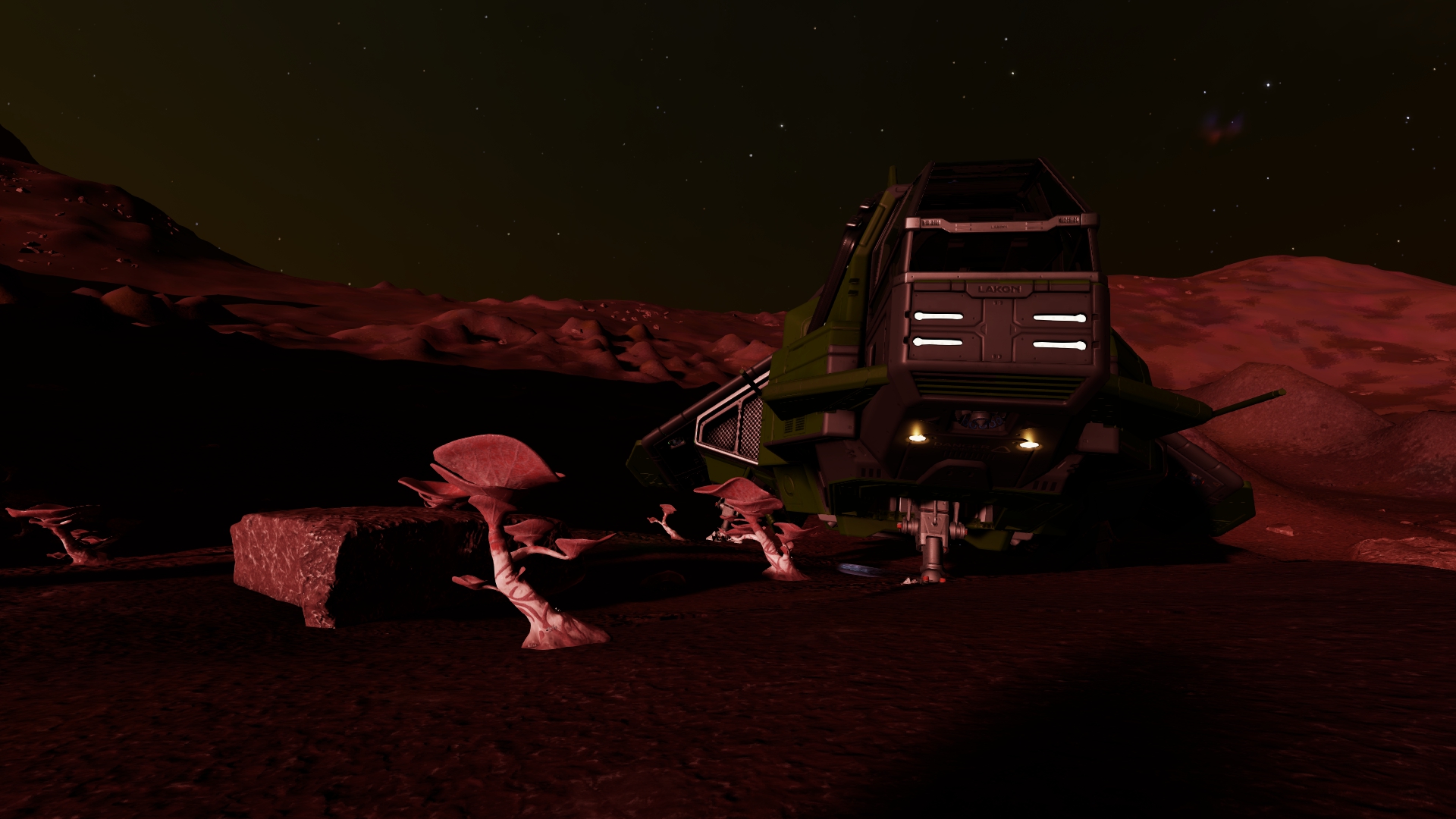Forest Landing.jpg