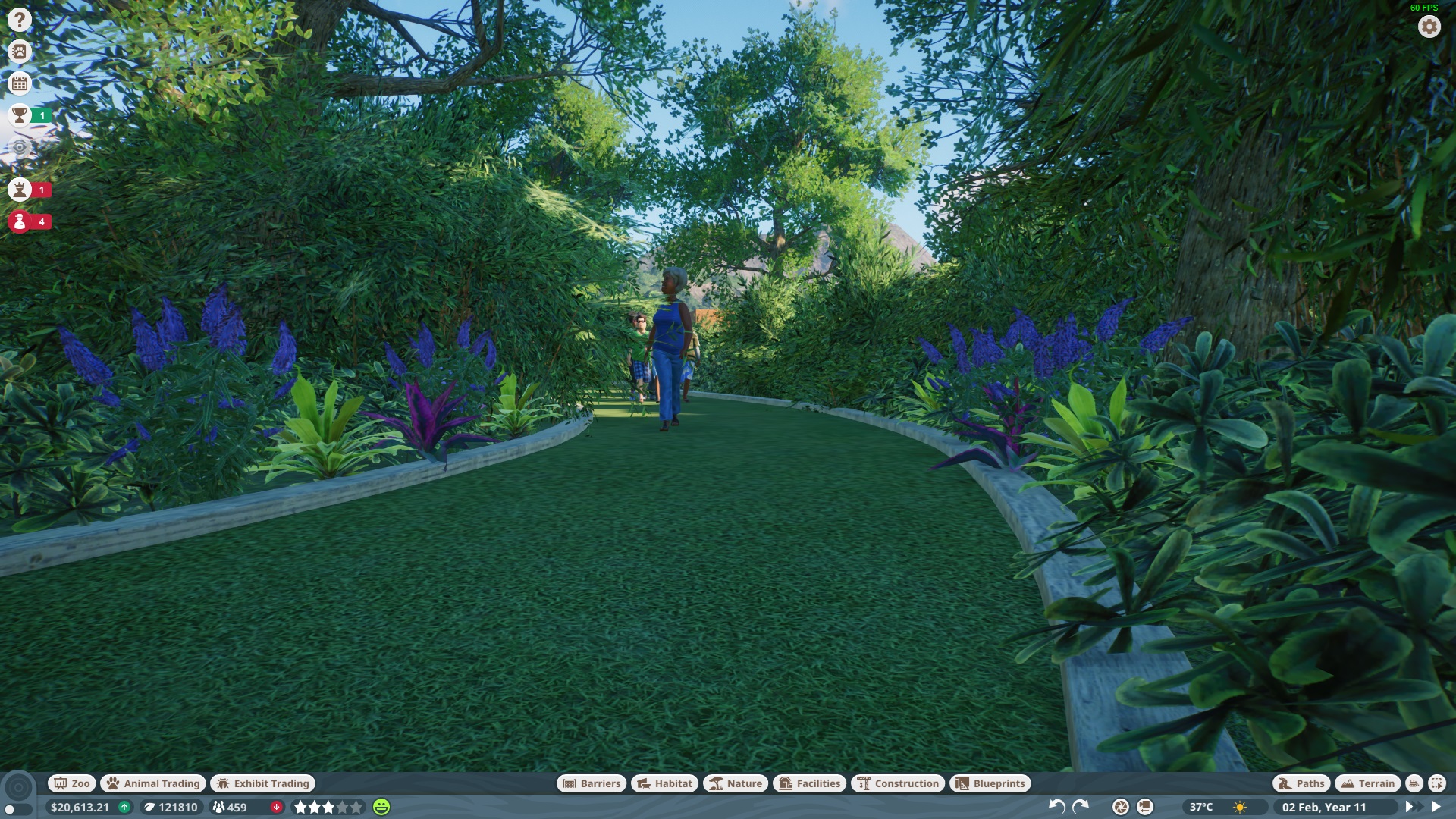 Forest Walk.jpg