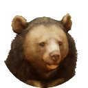 Formosan Black Bear.PNG