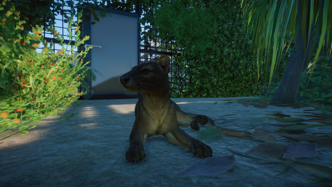 Fossa (10).png