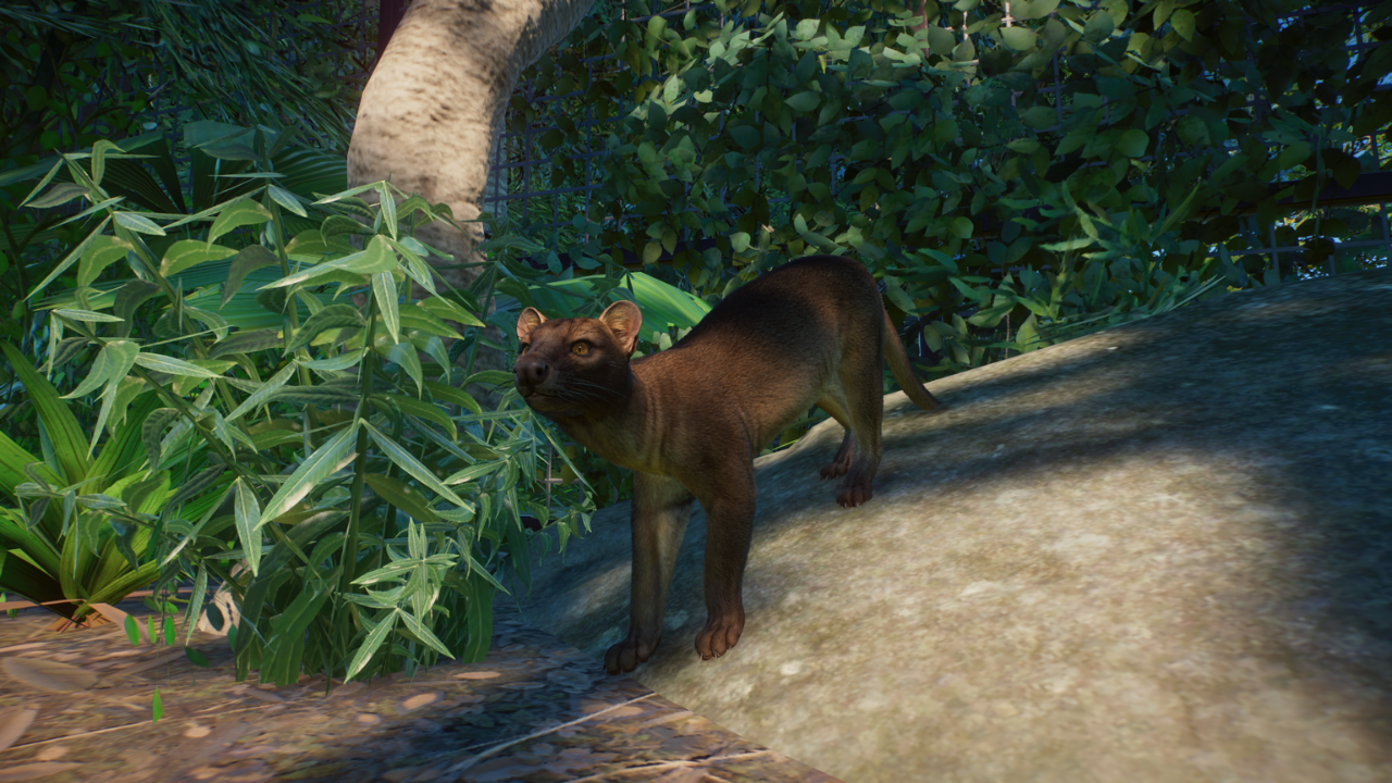 Fossa (9).png