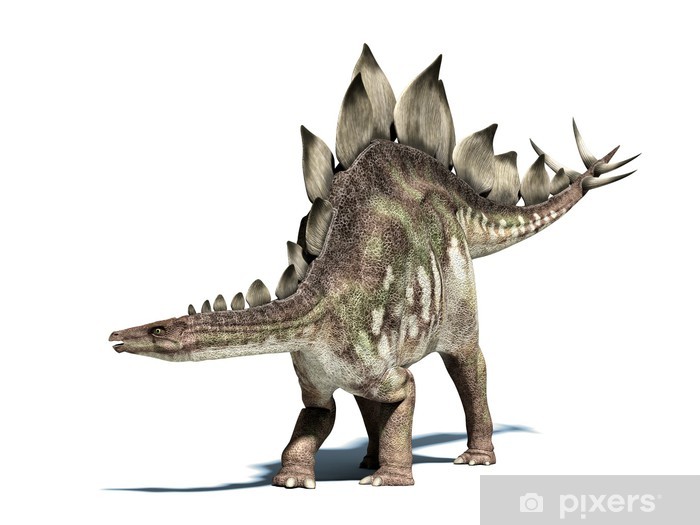 fototapeten-stegosaurus-dinosaurier-isoliert-auf-weiss-mit-beschneidungspfad.jpg.jpg