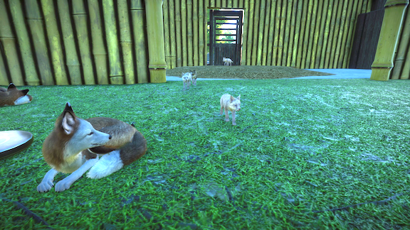 Foxes.png