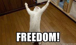 freedom.jpg