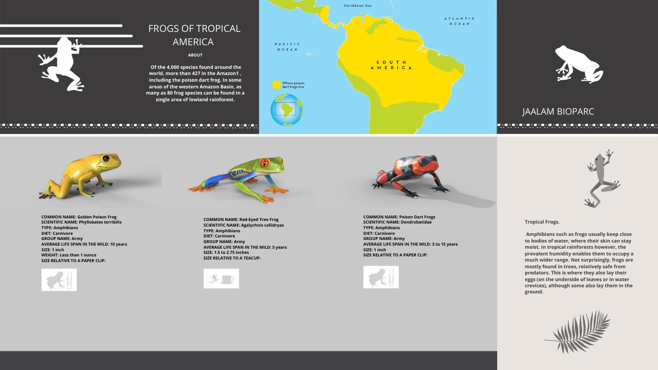 FrogsofTropicalAmerica3344.jpg
